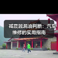 减震器漏油判断:汽车维修的实用指南(图2) 减震器漏油判断:汽车维修的实用指南(图2)