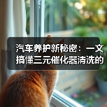 汽车养护新秘密:一文搞懂三元催化器清洗的全部(图2) 汽车养护新秘密:一文搞懂三元催化器清洗的全部(图2)