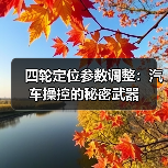 四轮定位参数调整：汽车操控的秘密武器（图4）