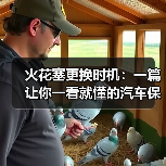 火花塞更换时机:一篇让你一看就懂的汽车保养指南(图2) 火花塞更换时机:一篇让你一看就懂的汽车保养指南(图2)
