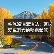 空气滤清器清洁:延长爱车寿命的秘密武器(图2) 空气滤清器清洁:延长爱车寿命的秘密武器(图2)