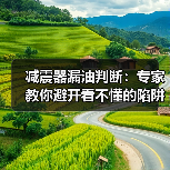 减震器漏油判断:专家教你避开看不懂的陷阱(图1) 减震器漏油判断:专家教你避开看不懂的陷阱(图1)