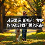 减震器漏油判断:专家教你避开看不懂的陷阱(图3) 减震器漏油判断:专家教你避开看不懂的陷阱(图3)