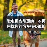 发电机皮带更换:不再困扰你的汽车核心维护指南(图4) 发电机皮带更换:不再困扰你的汽车核心维护指南(图4)