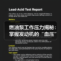 燃油泵工作压力揭秘:掌握发动机的“血压”奥秘(图1) 燃油泵工作压力揭秘:掌握发动机的“血压”奥秘(图1)