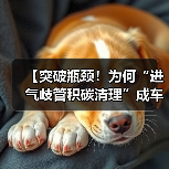 【突破瓶颈!为何“进气歧管积碳清理”成车主必修课】(图1) 【突破瓶颈!为何“进气歧管积碳清理”成车主必修课】(图1)