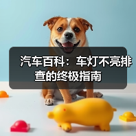 汽车百科:车灯不亮排查的终极指南(图1) 汽车百科:车灯不亮排查的终极指南(图1)