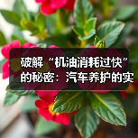 破解“机油消耗过快”的秘密:汽车养护的实战指南(图1) 破解“机油消耗过快”的秘密:汽车养护的实战指南(图1)