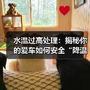 水温过高处理：揭秘你的爱车如何安全“降温”（图2）