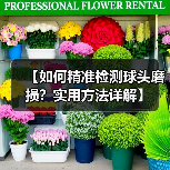 【如何精准检测球头磨损?实用方法详解】(图2) 【如何精准检测球头磨损?实用方法详解】(图2)
