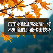 汽车水温过高处理：你不知道的那些秘密技巧（图4）