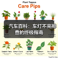 汽车百科:车灯不亮排查的终极指南(图4) 汽车百科:车灯不亮排查的终极指南(图4)