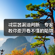 减震器漏油判断：专家教你避开看不懂的陷阱（图4）