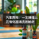 汽车百科:一文搞懂三元催化器清洗的秘密(图3) 汽车百科:一文搞懂三元催化器清洗的秘密(图3)