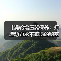 【涡轮增压器保养:打造动力永不减退的秘密武器】(图1) 【涡轮增压器保养:打造动力永不减退的秘密武器】(图1)