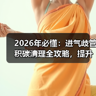 2026年必懂：进气歧管积碳清理全攻略，提升动力从这里开始（图4）