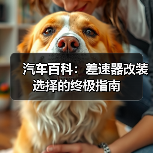 汽车百科:差速器改装选择的终极指南(图4) 汽车百科:差速器改装选择的终极指南(图4)