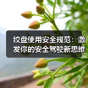 绞盘使用安全规范:激发你的安全驾驶新思维(图3) 绞盘使用安全规范:激发你的安全驾驶新思维(图3)