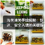 海关清关手续揭秘:快速、安全入境的关键指南(图3) 海关清关手续揭秘:快速、安全入境的关键指南(图3)