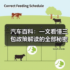 汽车百科:一文看懂三包政策解读的全部秘密(图2) 汽车百科:一文看懂三包政策解读的全部秘密(图2)