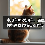 中规车VS美规车:深度解析两者的核心差异与实际影响(图4) 中规车VS美规车:深度解析两者的核心差异与实际影响(图4)