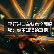 平行进口车特点全面揭秘:你不知道的真相!(图2) 平行进口车特点全面揭秘:你不知道的真相!(图2)