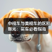 中规车与美规车的区别曝光:买车必看指南(图2) 中规车与美规车的区别曝光:买车必看指南(图2)