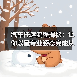 汽车托运流程揭秘:让你以最专业姿态完成从发件到交付的每一步(图4) 汽车托运流程揭秘:让你以最专业姿态完成从发件到交付的每一步(图4)
