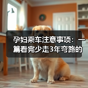 孕妇乘车注意事项:一篇看完少走3年弯路的实用指南(图4) 孕妇乘车注意事项:一篇看完少走3年弯路的实用指南(图4)