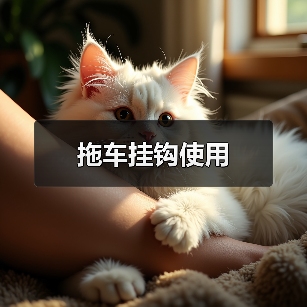 拖车挂钩使用(图1) 拖车挂钩使用(图1)
