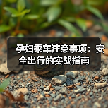 孕妇乘车注意事项:安全出行的实战指南(图2) 孕妇乘车注意事项:安全出行的实战指南(图2)