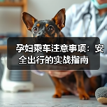 孕妇乘车注意事项:安全出行的实战指南(图3) 孕妇乘车注意事项:安全出行的实战指南(图3)