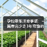 孕妇乘车注意事项:一篇看完少走3年弯路的实用指南(图3) 孕妇乘车注意事项:一篇看完少走3年弯路的实用指南(图3)