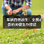 车辆自燃逃生：全民必备的关键生存技能（图2）