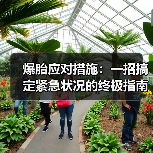 爆胎应对措施:一招搞定紧急状况的终极指南(图2) 爆胎应对措施:一招搞定紧急状况的终极指南(图2)