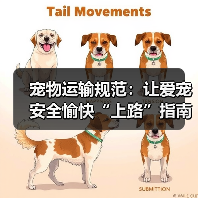 宠物运输规范:让爱宠安全愉快“上路”指南(图2) 宠物运输规范:让爱宠安全愉快“上路”指南(图2)