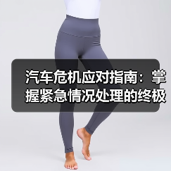 汽车危机应对指南：掌握紧急情况处理的终极技巧（图3）