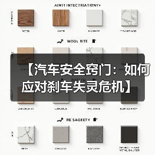 【汽车安全窍门:如何应对刹车失灵危机】(图4) 【汽车安全窍门:如何应对刹车失灵危机】(图4)