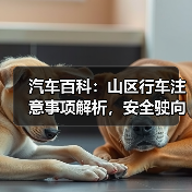 汽车百科:山区行车注意事项解析,安全驶向每一段山川(图2) 汽车百科:山区行车注意事项解析,安全驶向每一段山川(图2)