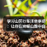 学习山区行车注意事项:让你在蜿蜒山路中自由驰骋的秘密(图2) 学习山区行车注意事项:让你在蜿蜒山路中自由驰骋的秘密(图2)