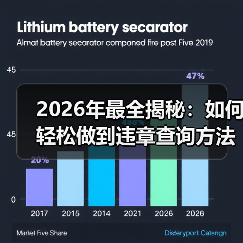 2026年最全揭秘:如何轻松做到违章查询方法的实操指南(图3) 2026年最全揭秘:如何轻松做到违章查询方法的实操指南(图3)