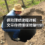 保险理赔流程详解:一文带你搞懂保险赔付的隐藏技巧(图4) 保险理赔流程详解:一文带你搞懂保险赔付的隐藏技巧(图4)