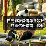 自驾游准备清单全攻略：只需这份指南，轻松开启旅途（图2）