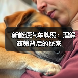 新能源汽车牌照:理解政策背后的秘密(图3) 新能源汽车牌照:理解政策背后的秘密(图3)