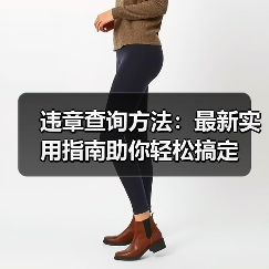 违章查询方法:最新实用指南助你轻松搞定(图2) 违章查询方法:最新实用指南助你轻松搞定(图2)