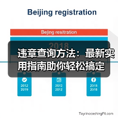 违章查询方法:最新实用指南助你轻松搞定(图4) 违章查询方法:最新实用指南助你轻松搞定(图4)