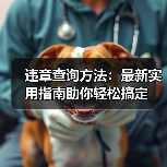 违章查询方法:最新实用指南助你轻松搞定(图1) 违章查询方法:最新实用指南助你轻松搞定(图1)
