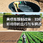 黄标车限制政策：如何影响你的出行与车辆选择（图1）