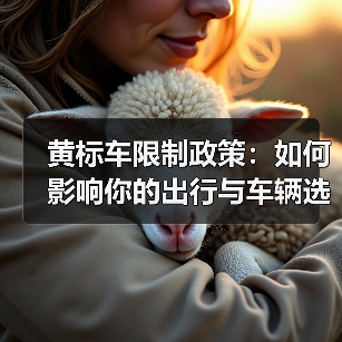黄标车限制政策：如何影响你的出行与车辆选择（图2）