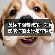 黄标车限制政策：如何影响你的出行与车辆选择（图3）